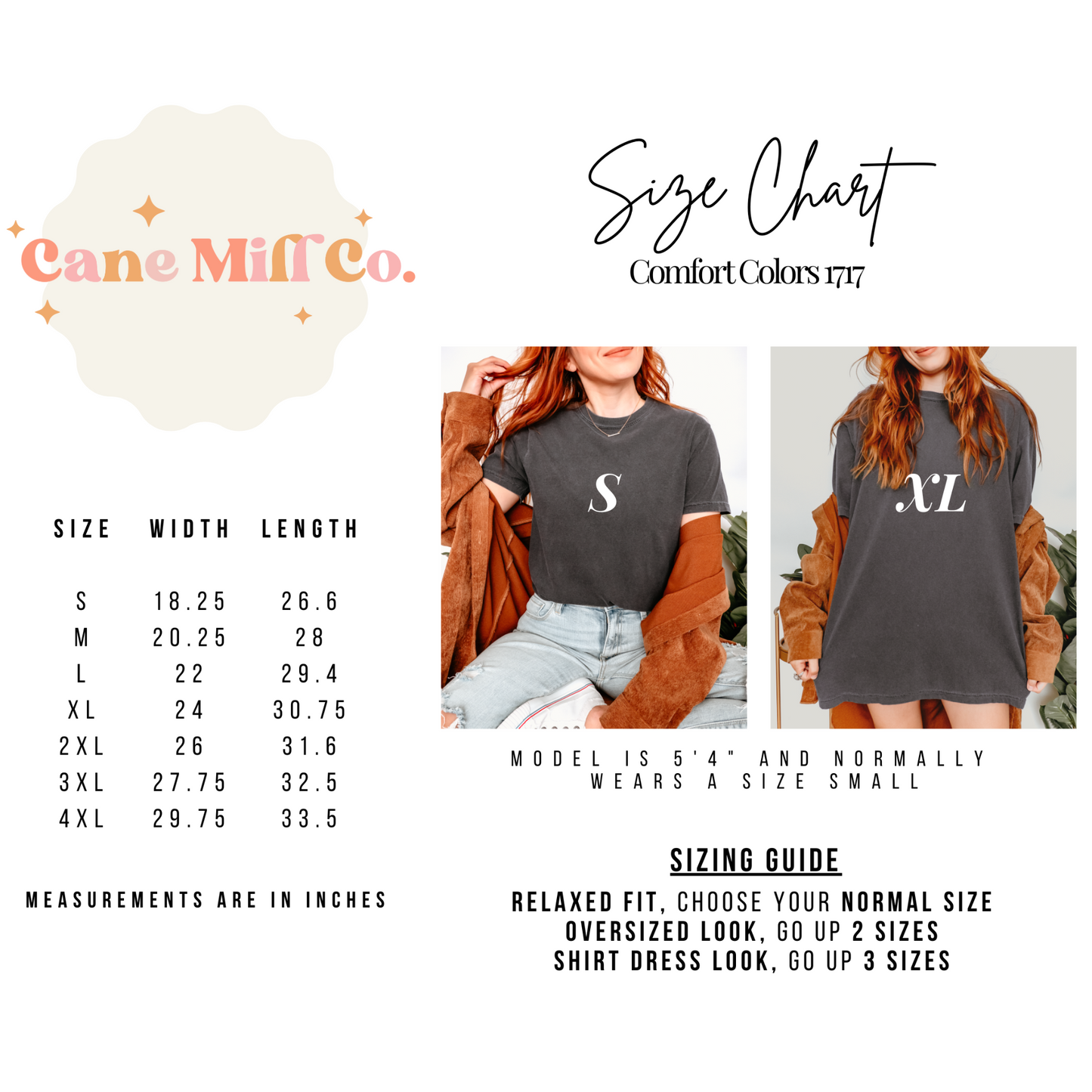 Expensive + Talks Back - Front/Back Adult Tee